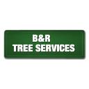B & R Tree Services logo